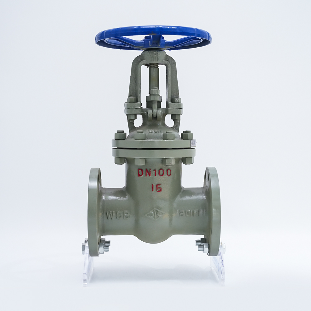Cast Flange Gate Valve Z41H-16C