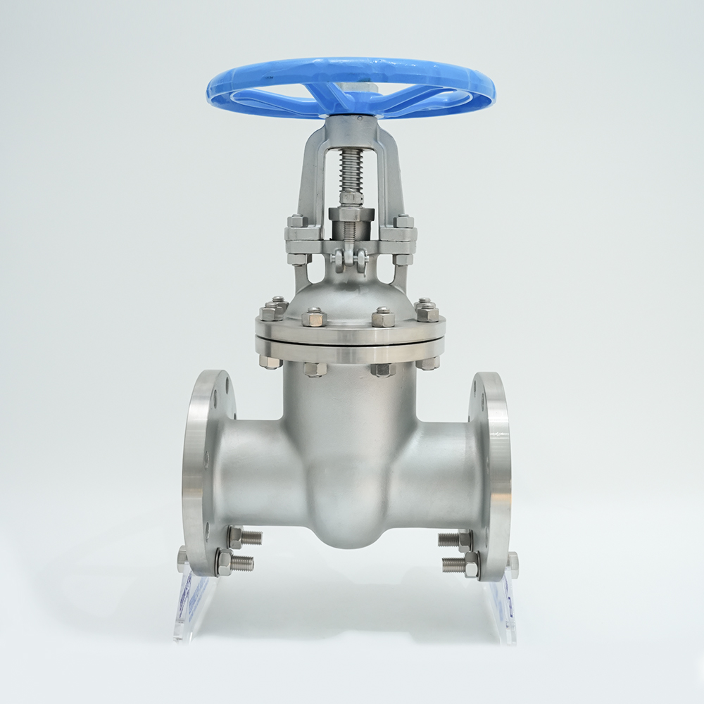 Injap pintu flange keluli tahan karat Z41W-16P