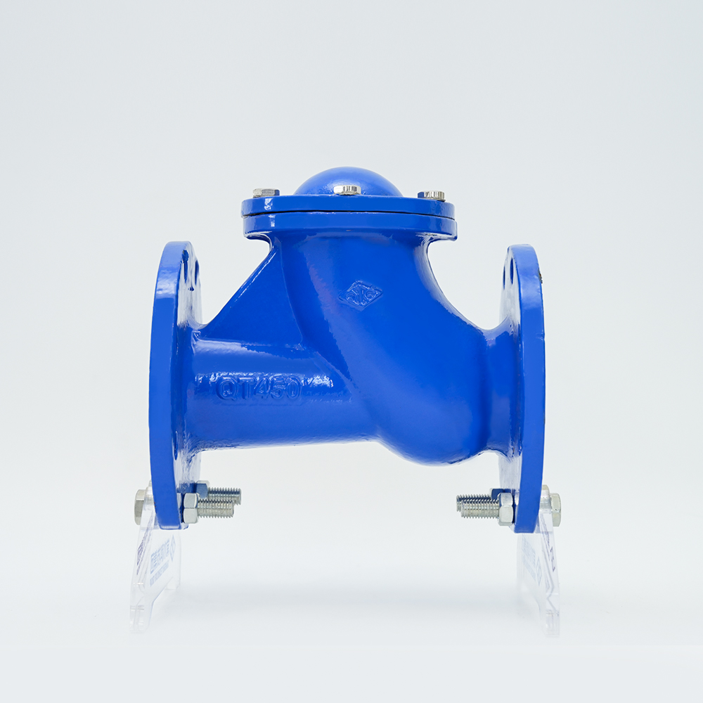 Slideway Rolling Type Check Valve HQ41X-16Q