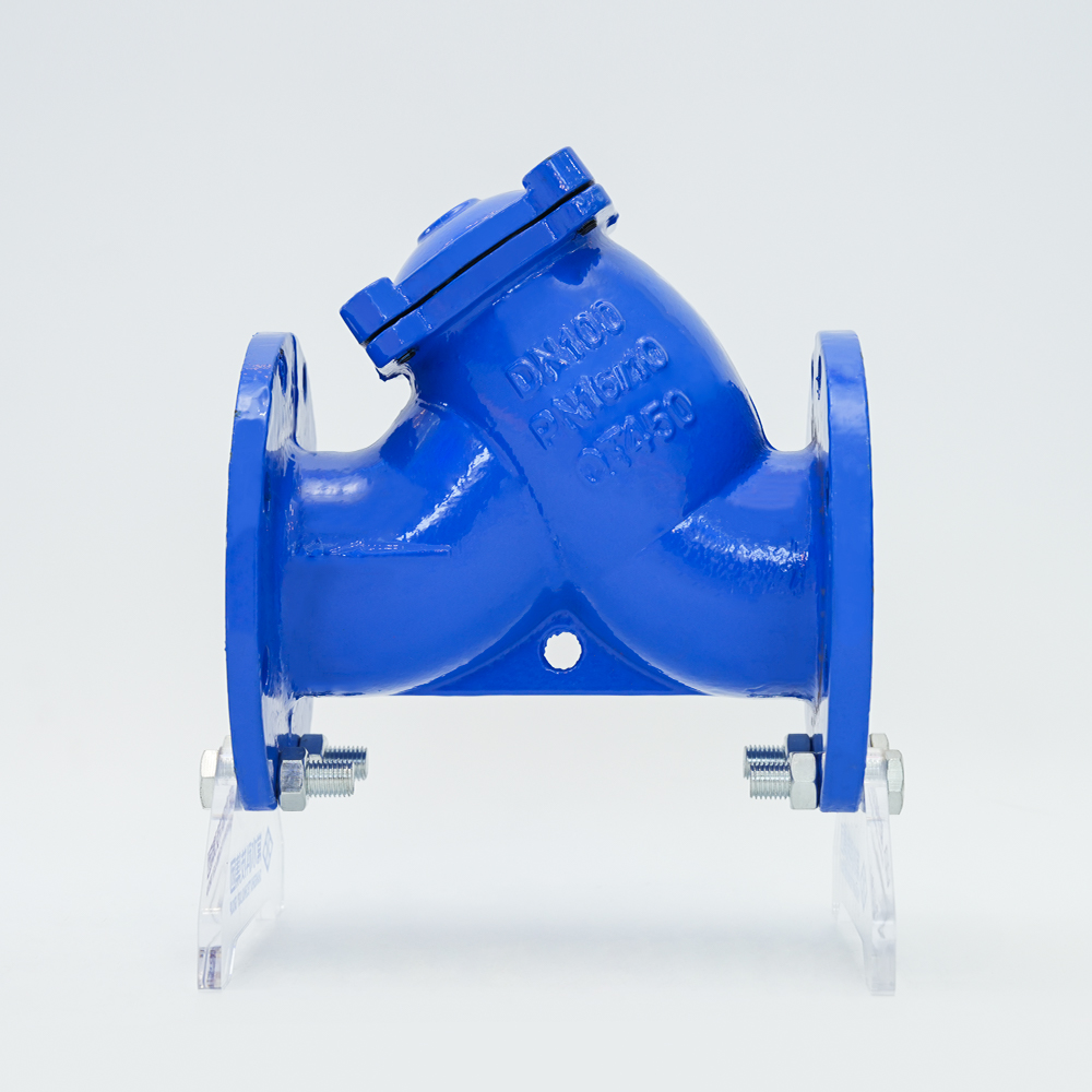 Penapis jenis besi Y-jenis GL41H-16Q